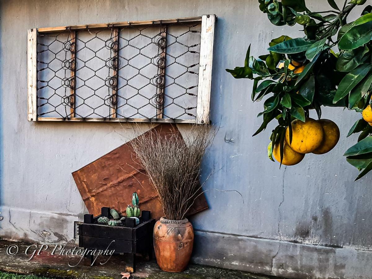 Laguna Lodge Graskop Dış mekan fotoğraf